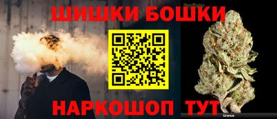 индика Дубна