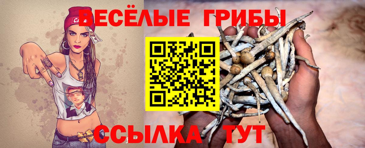Москва  Псилоцибиновые грибы мухоморы  Галлюциногенные грибы мицелий  Вход с VPN 