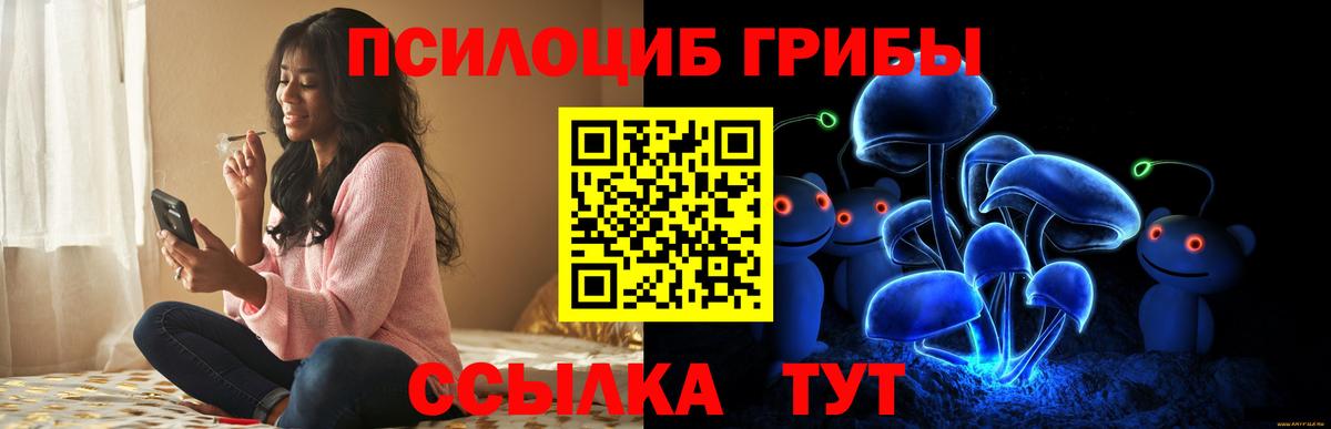 Галлюциногенные грибы Psilocybine cubensis Москва